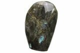 Flashy, Free-Standing Polished Labradorite - Madagascar #237856-1